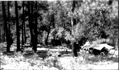 campsite in forest