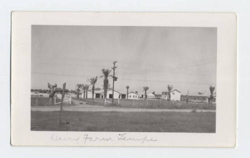 Photograph - 1939 Arizona State University Dairy Farm