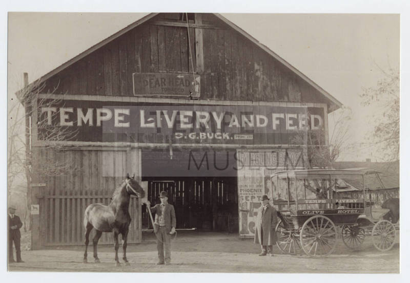 Photograph - Tempe livery and feed exterior