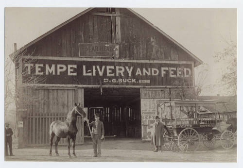 Photograph - Tempe livery and feed exterior