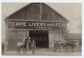 Photograph - Tempe livery and feed exterior