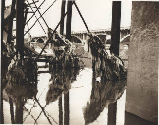 Photograph - Reconstruction of Tempe Mill Avenue Bridge (Jan 1993 - May1993)