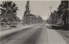 Photograph - Road out of Tempe