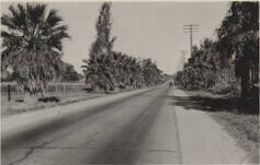 Photograph - Road out of Tempe