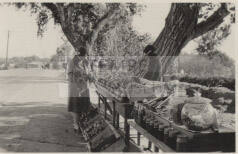 Photograph - Hank buying cactus candy