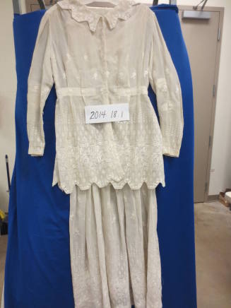 Amy Poll's Wedding Dress