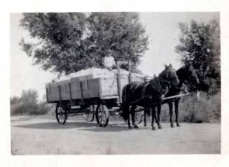 Photograph - Wagon load of cotton