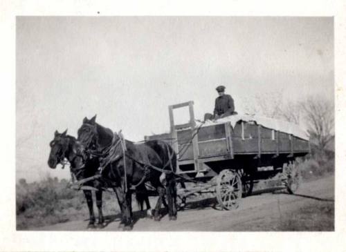 Photograph - Wagon load of cotton