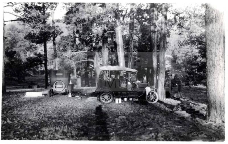 Photograph - Picnic in the woods