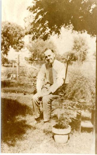 Photo of man sitting under a tree