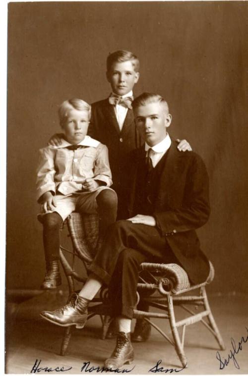 Portrait of Horace, Norman, and Sam Saylor