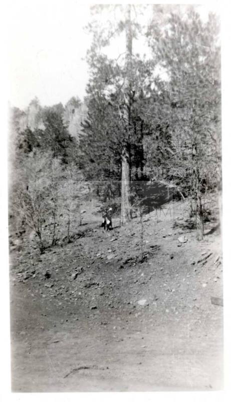 Picture of Ruby and Minnie Laird in the Forest