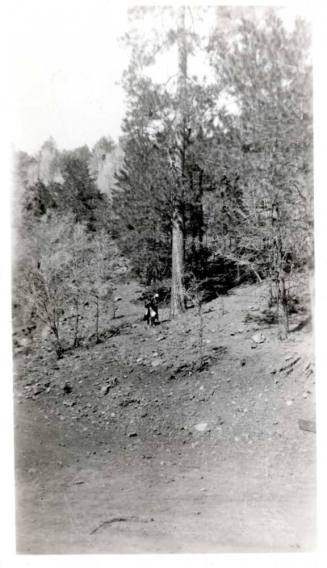 Picture of Ruby and Minnie Laird in the Forest