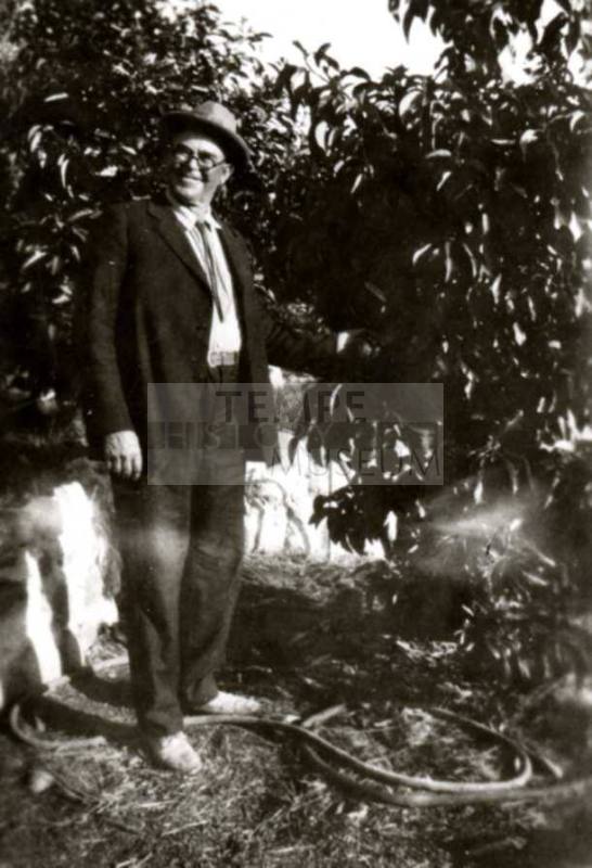 Ed Walker from San Diego standing in orchard