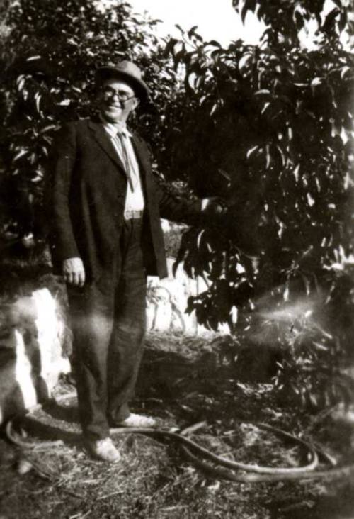 Ed Walker from San Diego standing in orchard