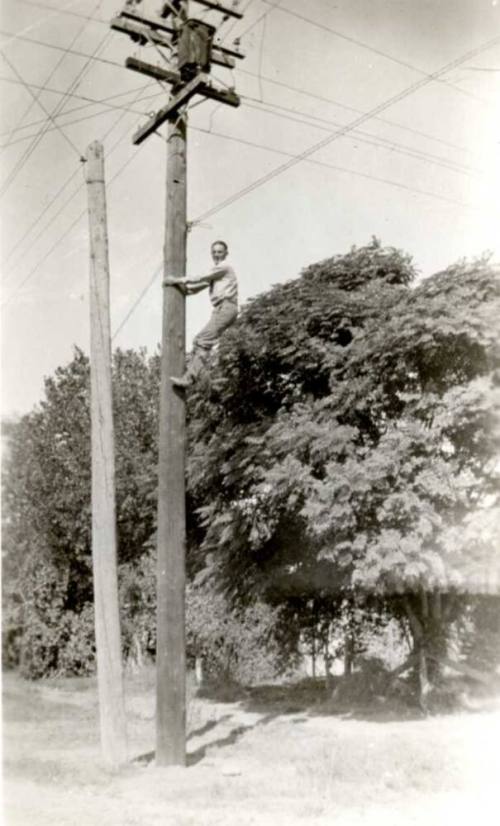 Frank Raymond Climbing Up a Telephone Pole