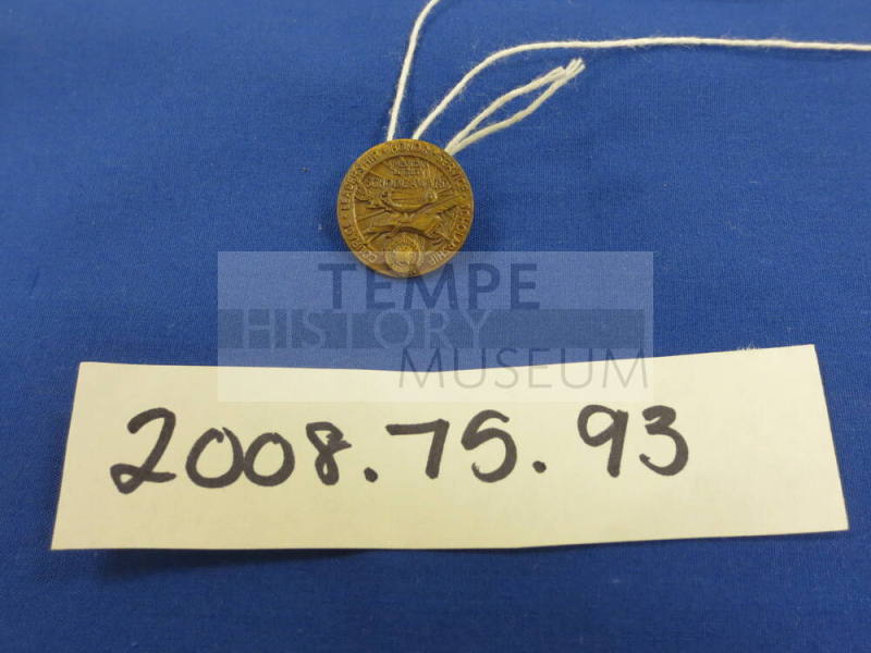 American Legion School Award Pin
