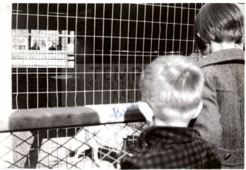 Joann and Bill Raymond at the Zoo
