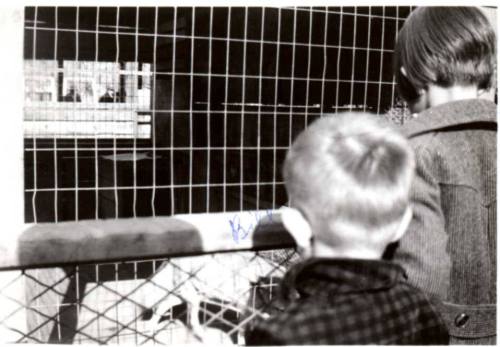 Joann and Bill Raymond at the Zoo