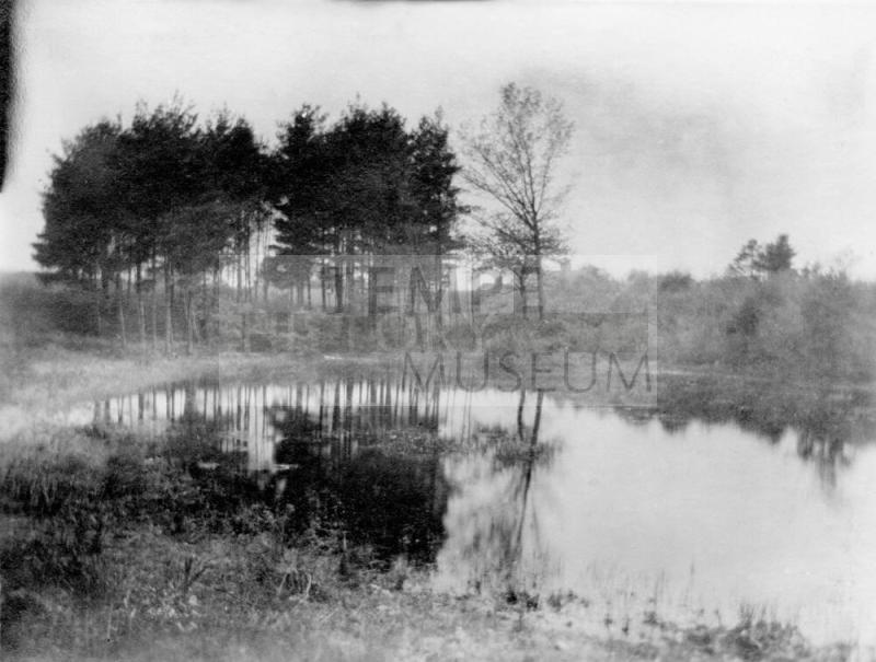 Pond and trees North Reading, Mass.