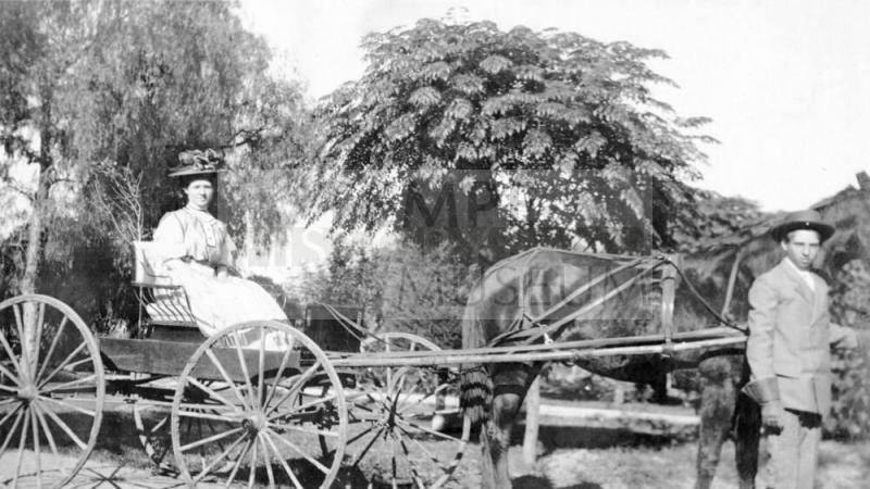 Man and woman with horse buggy