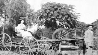 Man and woman with horse buggy