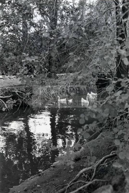 Photograph - Hohokam Indians Dug Irrigation Ditch
