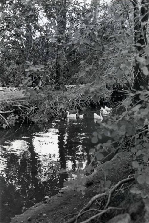 Photograph - Hohokam Indians Dug Irrigation Ditch