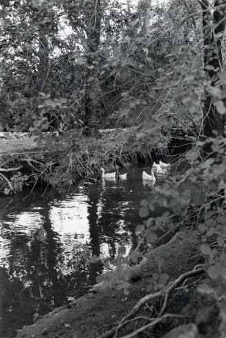 Photograph - Hohokam Indians Dug Irrigation Ditch