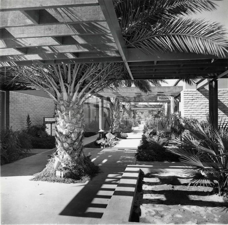 Photograph - Patio in front of Laird Pharmacy – Works – Tempe History ...