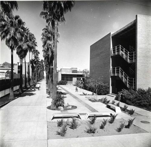 Photograph - ASU Campus