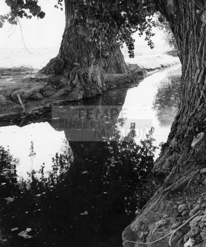 Photograph - Open Canal in Tempe