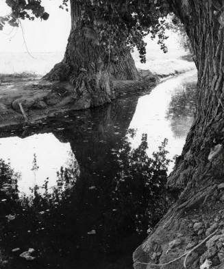 Photograph - Open Canal in Tempe
