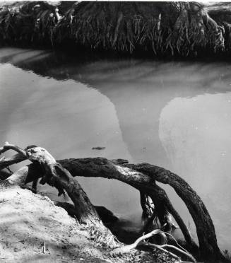 Photograph - Old 8th Street Ditch in Tempe