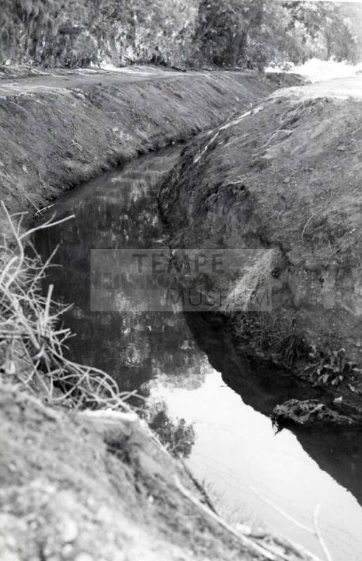 Photograph - Irrigation Ditch in Tempe