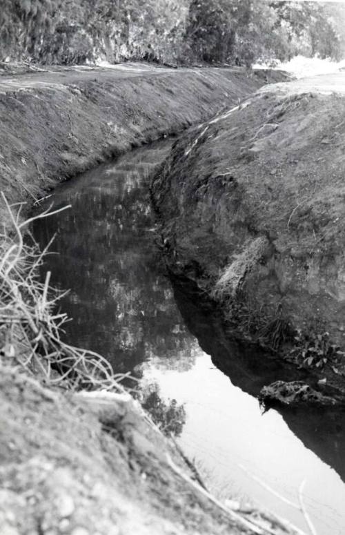 Photograph - Irrigation Ditch in Tempe