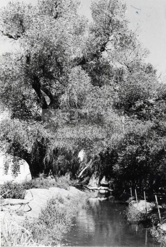 Photograph - Irrigation ditch in Tempe