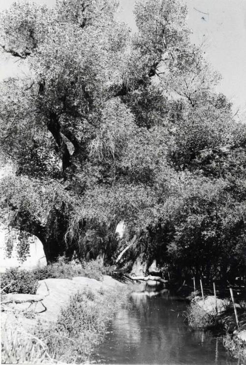 Photograph - Irrigation ditch in Tempe
