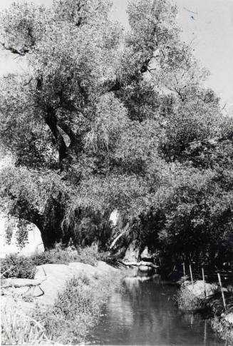 Photograph - Irrigation ditch in Tempe