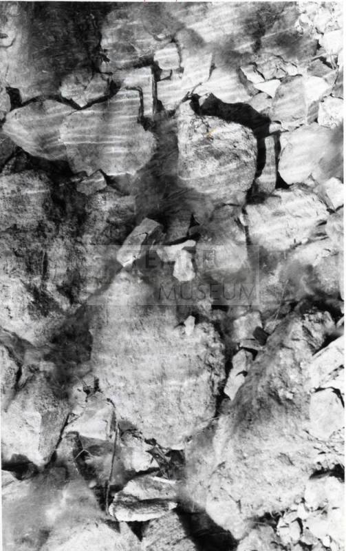 Photograph - Stream in Papago Park
