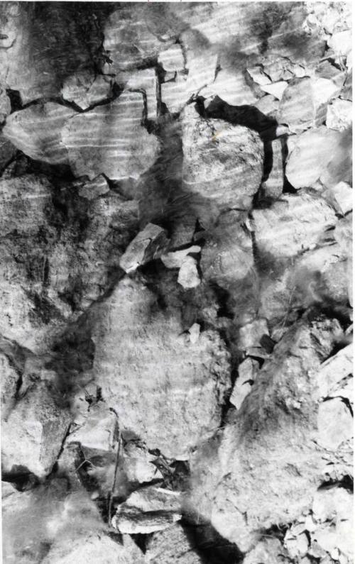 Photograph - Stream in Papago Park