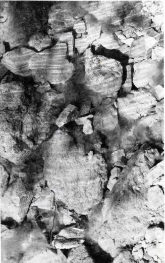 Photograph - Stream in Papago Park
