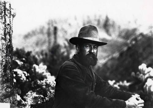 Photograph - Dane Coolidge