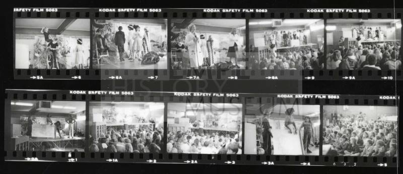 Photograph - Photographic negatives