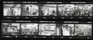 Photograph - Photographic negatives