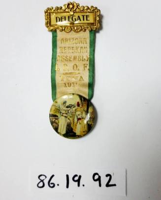 Delegate pin