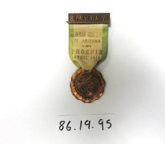 Representative Pin