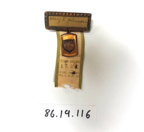Mary L Johnson Pin and ribbon