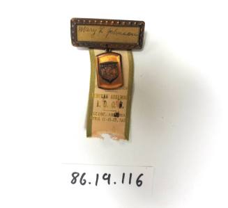 Mary L Johnson Pin and ribbon