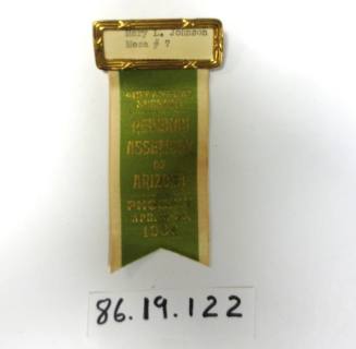 41st Annual Session Ribbon